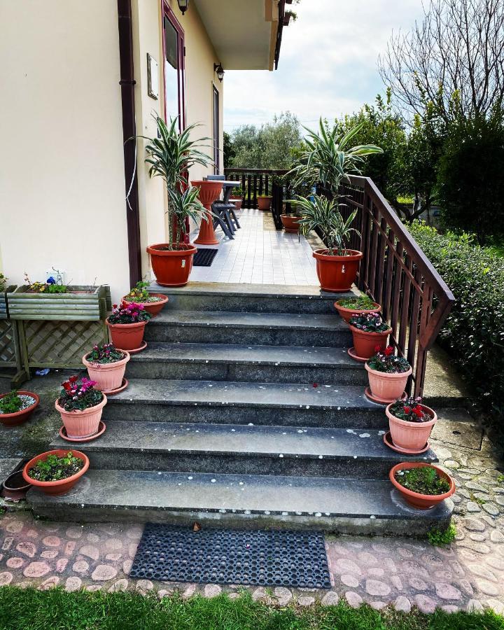 B&B Villa Dei Fiori Sant'Eufemia Lamezia Exterior photo