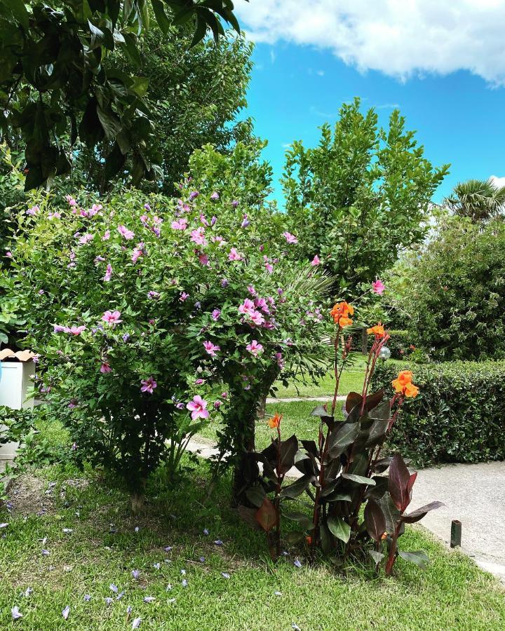 B&B Villa Dei Fiori Sant'Eufemia Lamezia Exterior photo