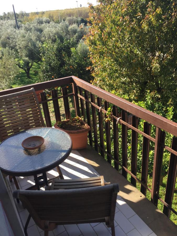 B&B Villa Dei Fiori Sant'Eufemia Lamezia Exterior photo